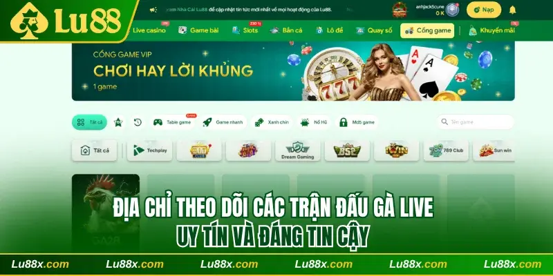Địa chỉ theo dõi các trận đấu gà live đáng tin cậy